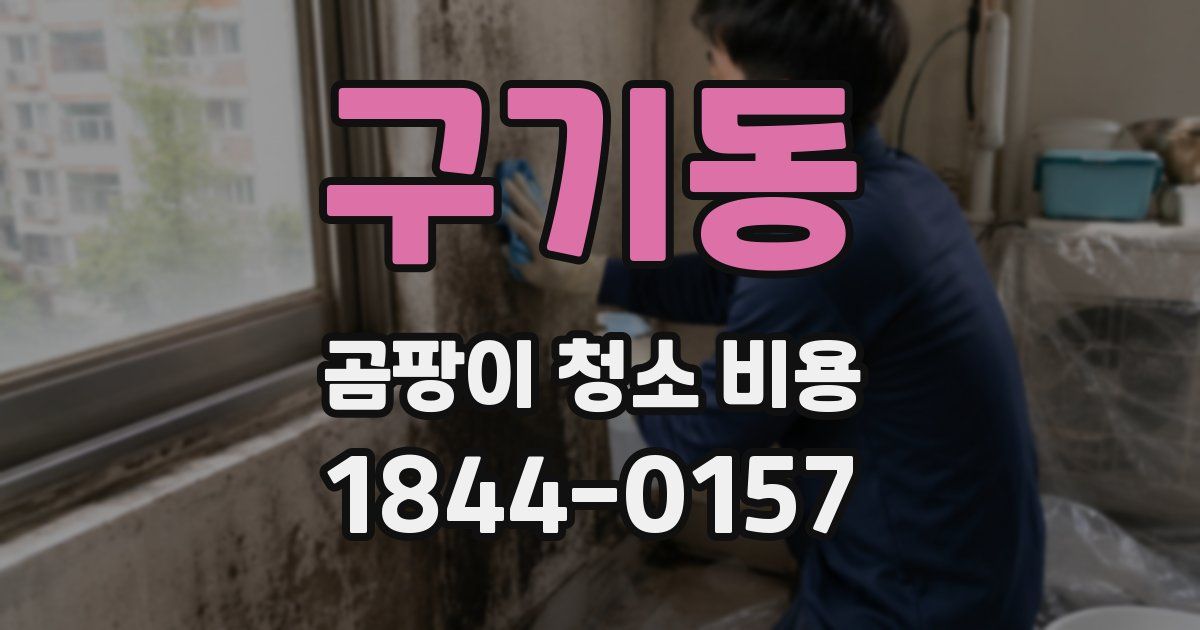 구기동 곰팡이 청소 비용