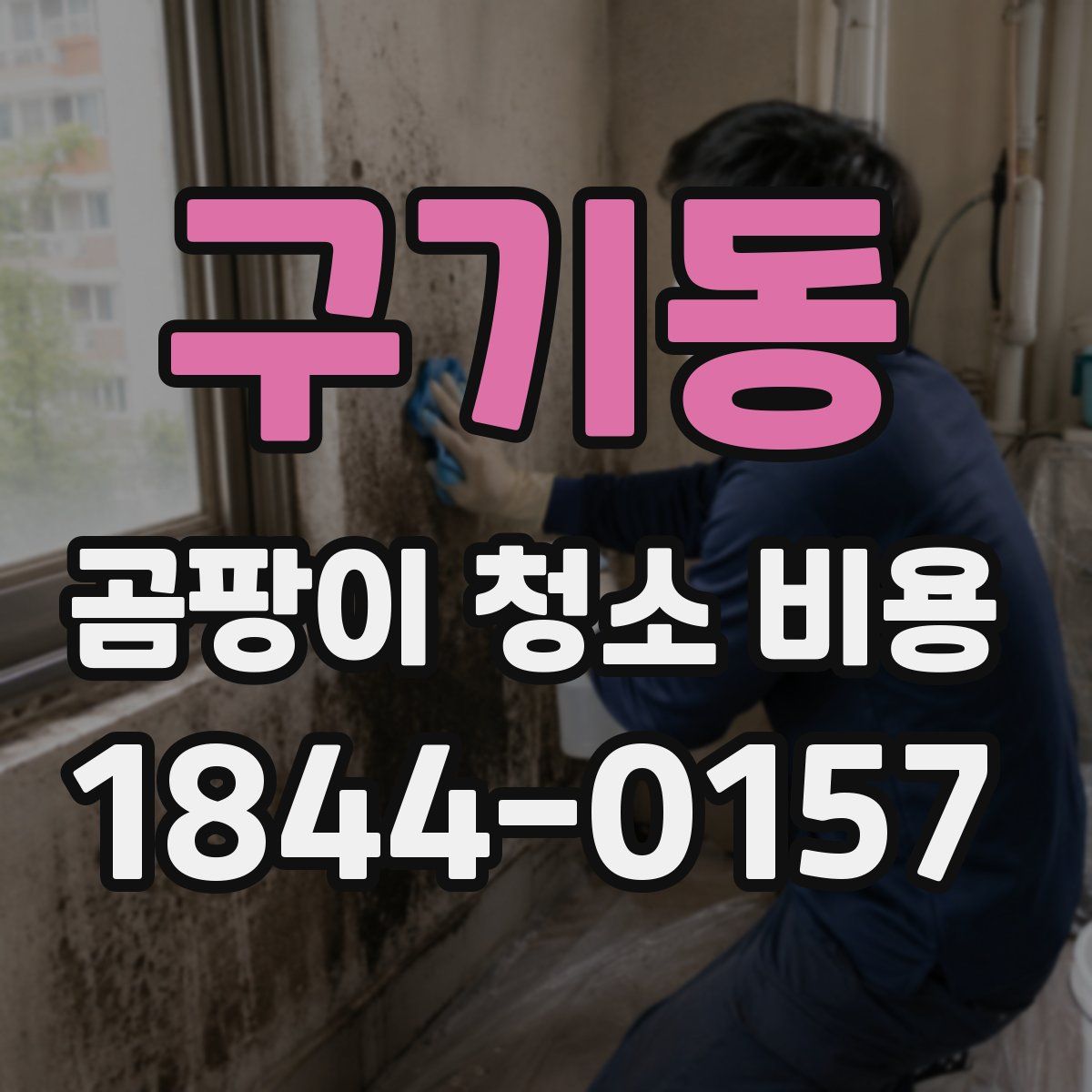 구기동 곰팡이 청소 비용