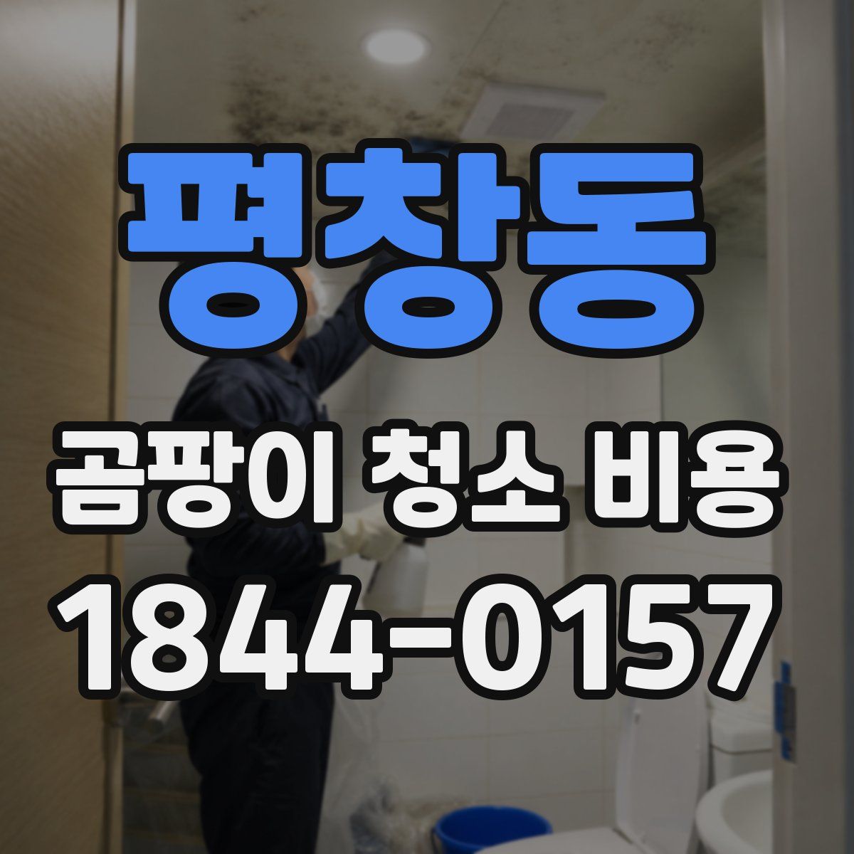 평창동 곰팡이 청소 비용