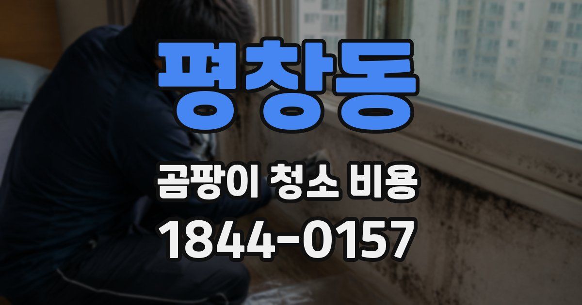 평창동 곰팡이 청소 비용