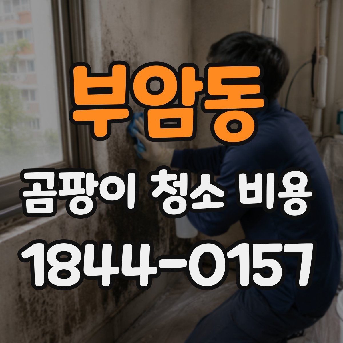 부암동 곰팡이 청소 비용 문의가 많아지는 계절별 이유