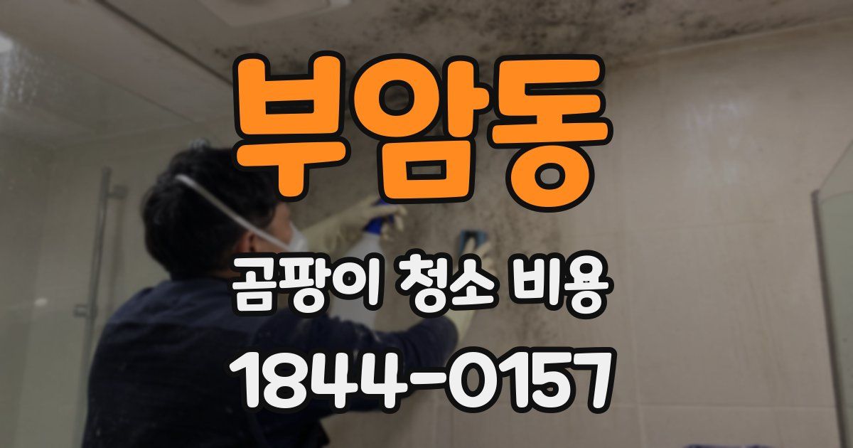 부암동 곰팡이 청소 비용