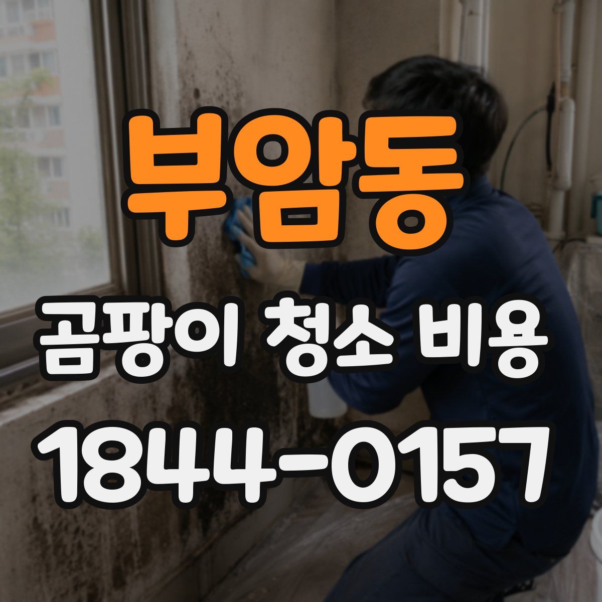 부암동 곰팡이 청소 비용