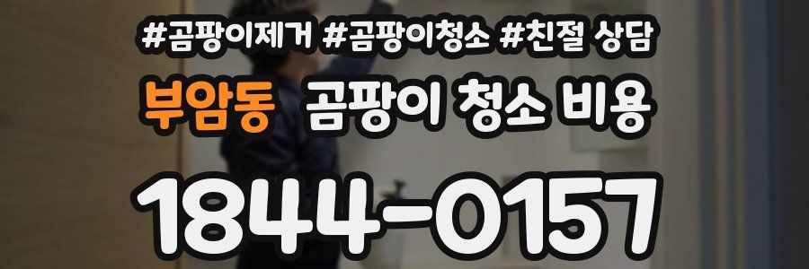 부암동 곰팡이 청소 비용