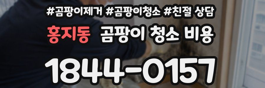 홍지동 곰팡이 청소 비용