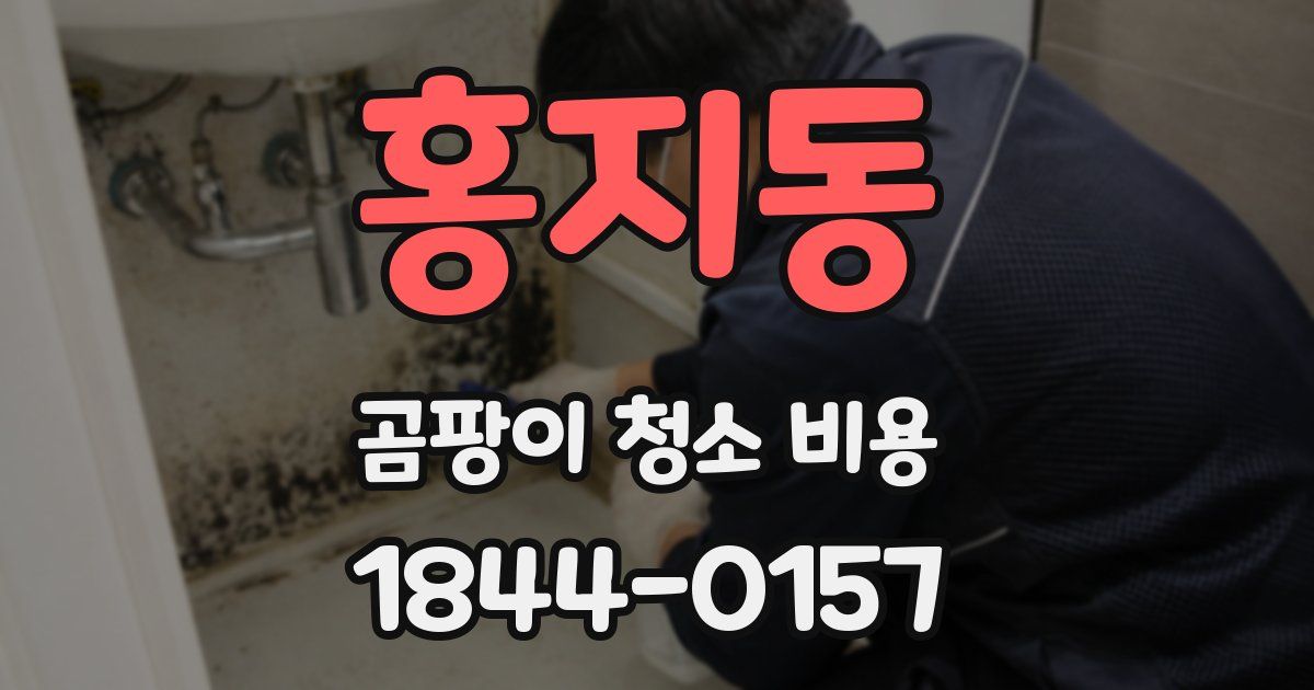 홍지동 곰팡이 청소 비용