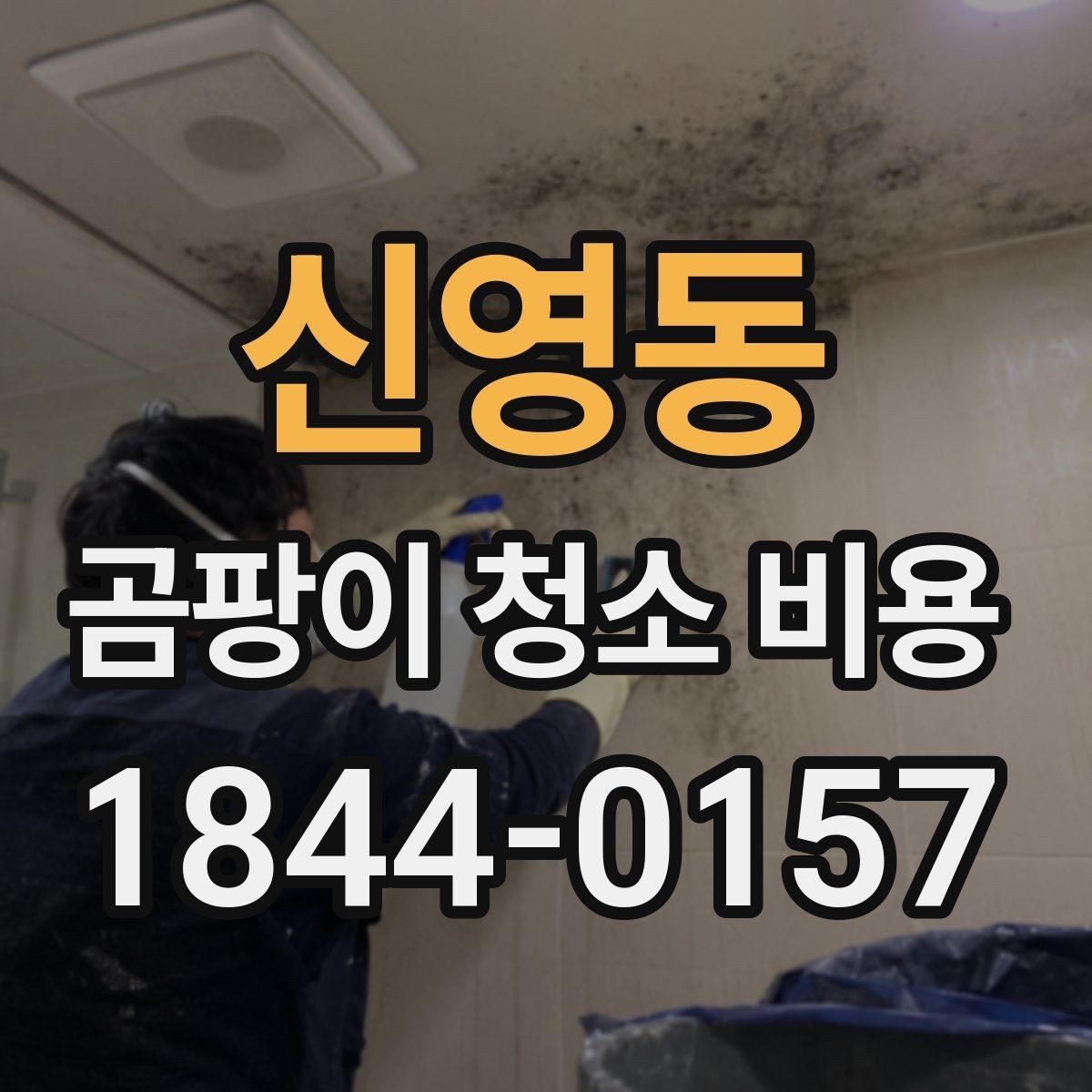 신영동 곰팡이 청소 비용 알아보기 전 곰팡이 원인부터 점검