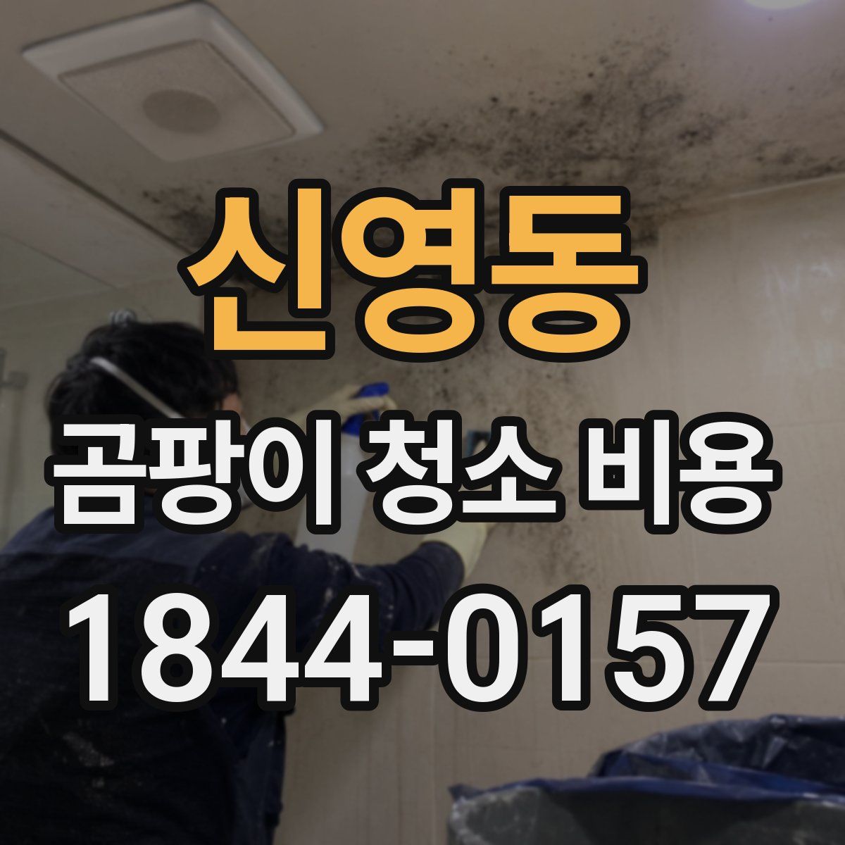 신영동 곰팡이 청소 비용