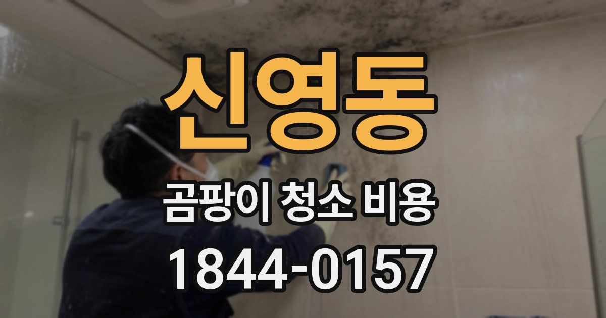 신영동 곰팡이 청소 비용