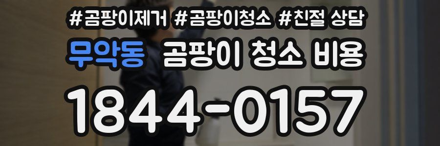 무악동 곰팡이 청소 비용