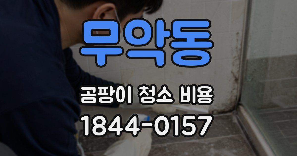 무악동 곰팡이 청소 비용