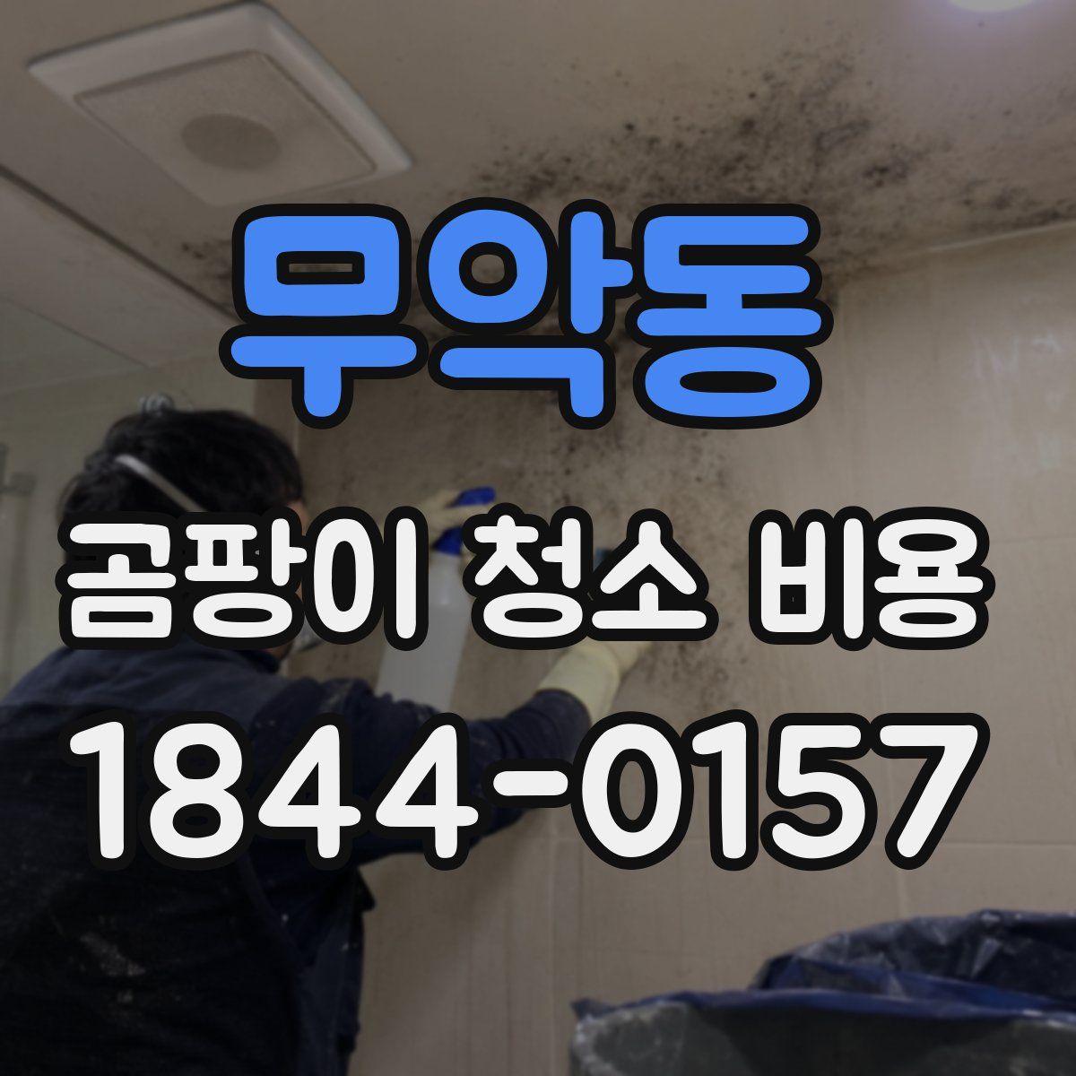 무악동 곰팡이 청소 비용