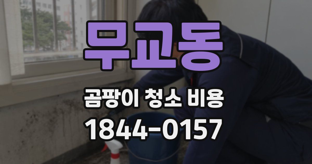 무교동 곰팡이 청소 비용