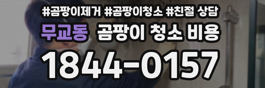무교동 곰팡이 청소 비용