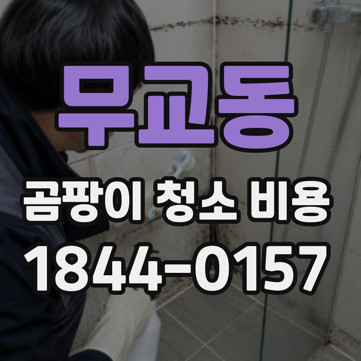무교동 곰팡이 청소 비용
