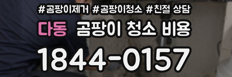 다동 곰팡이 청소 비용