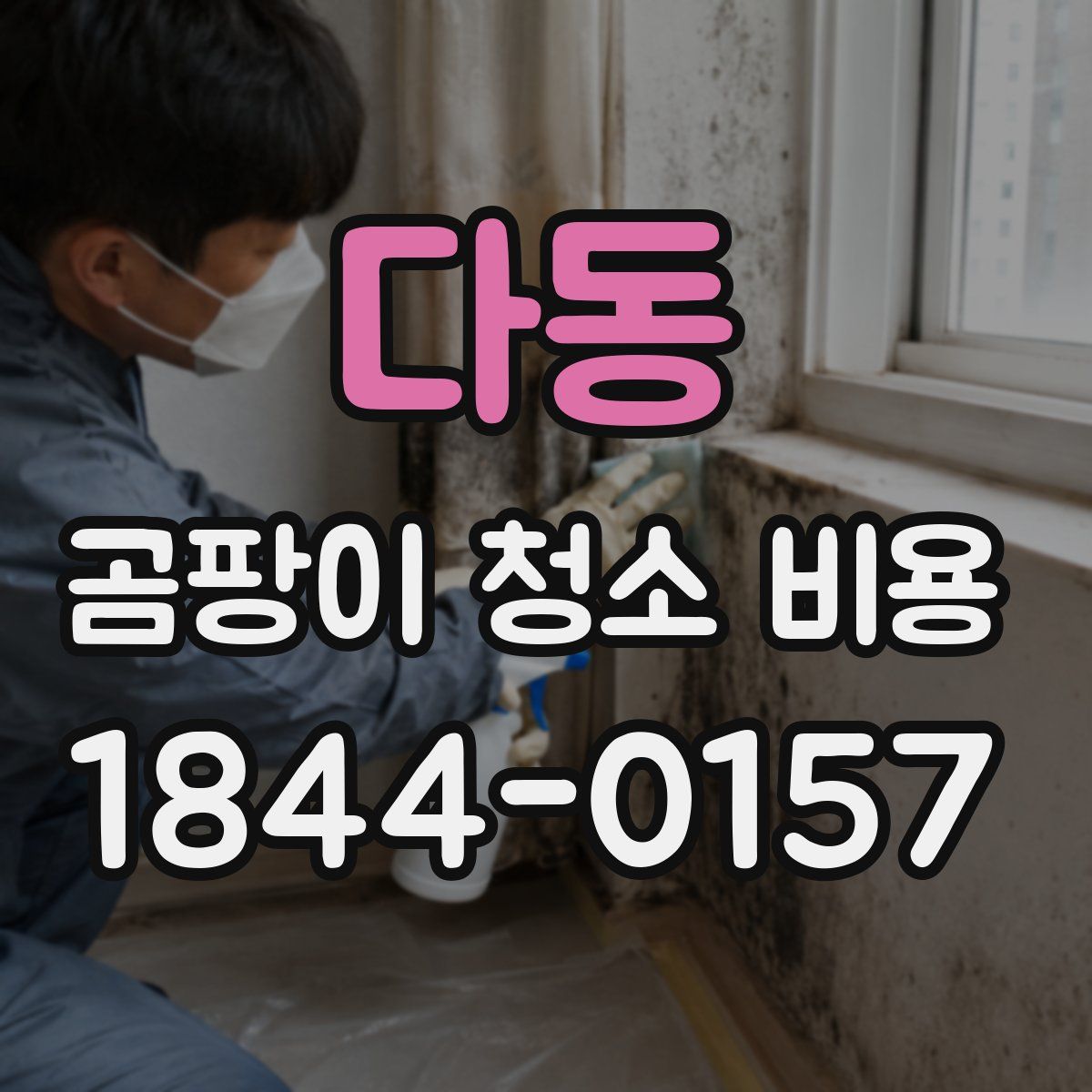 다동 곰팡이 청소 비용
