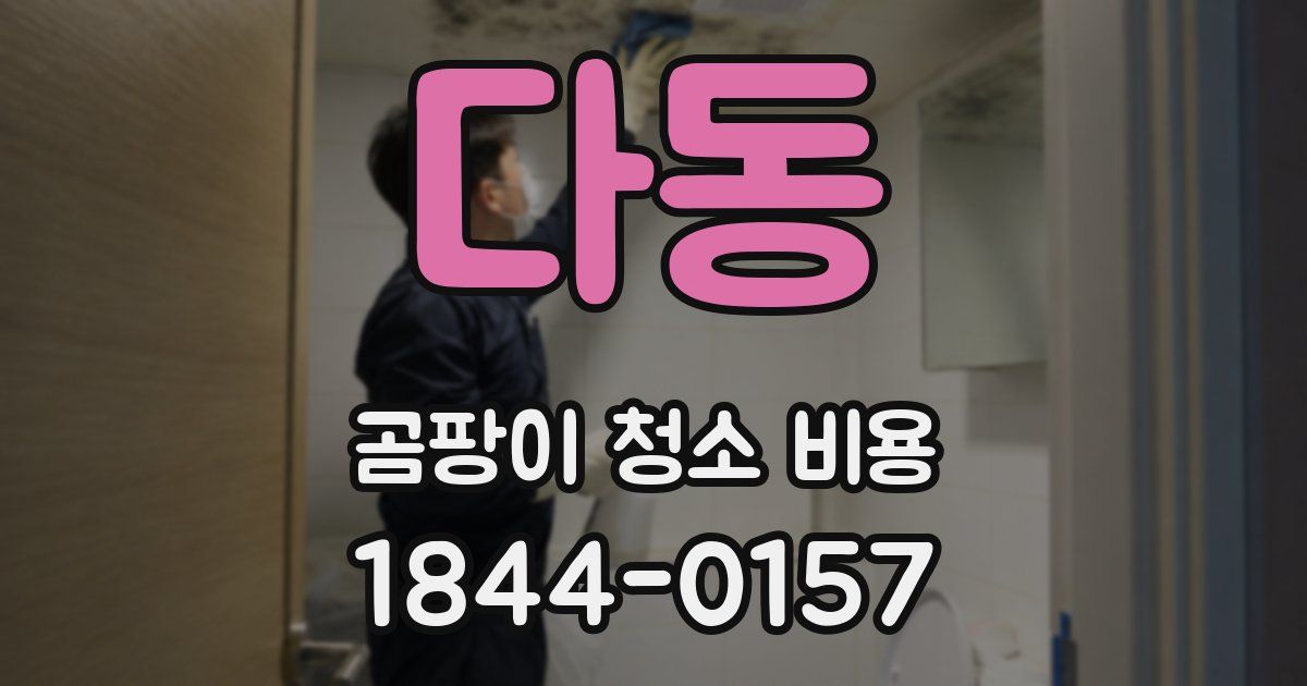다동 곰팡이 청소 비용