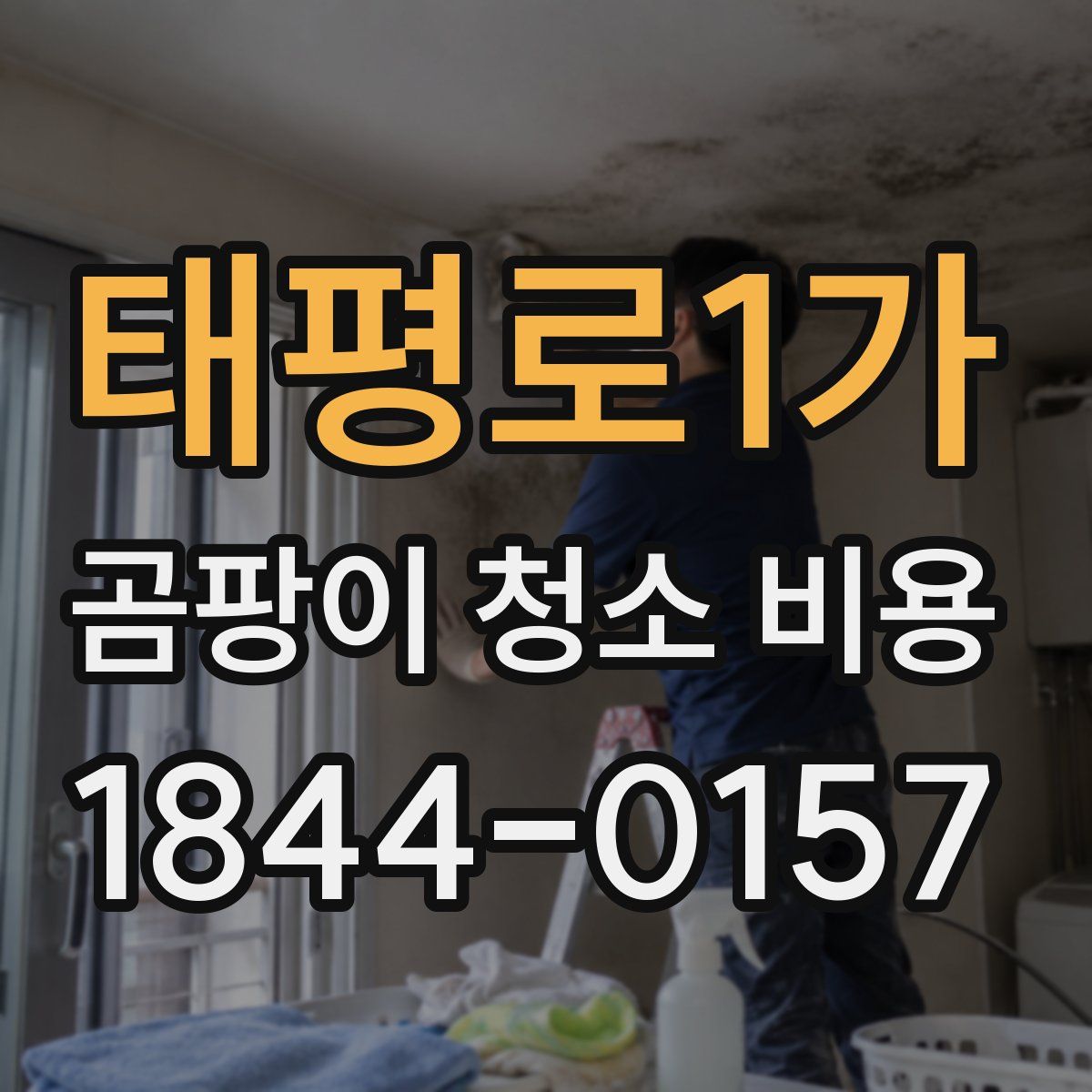 태평로1가 곰팡이 청소 비용