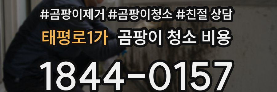 태평로1가 곰팡이 청소 비용