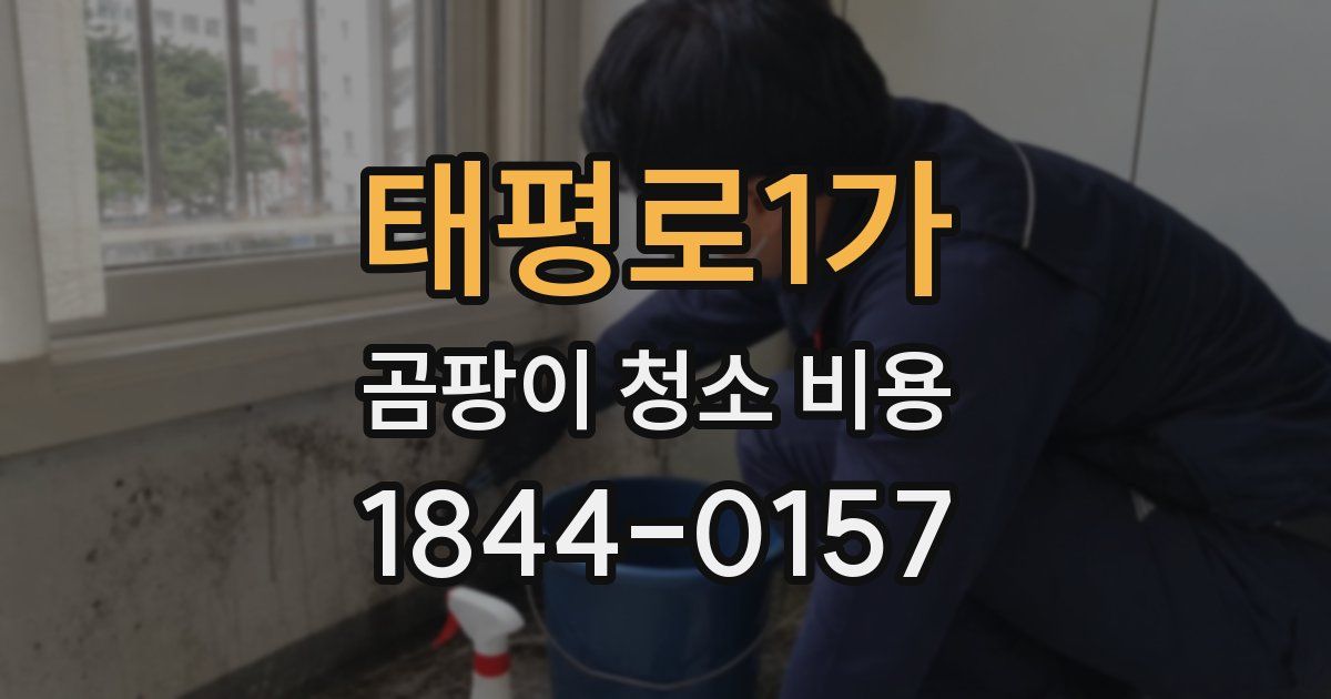 태평로1가 곰팡이 청소 비용