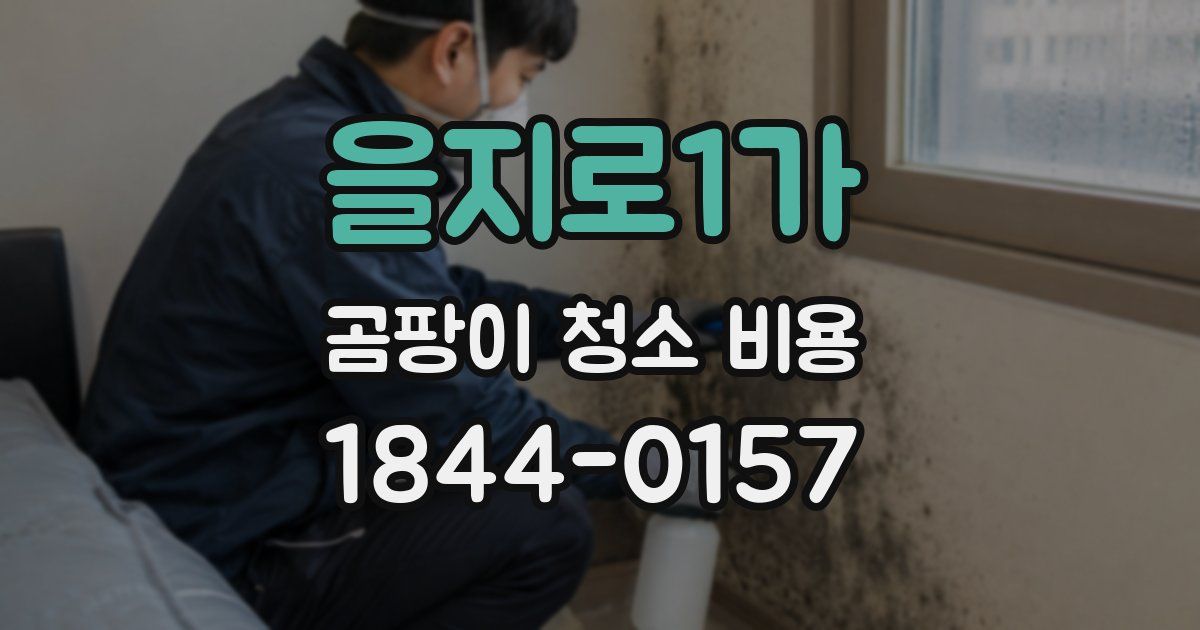 을지로1가 곰팡이 청소 비용
