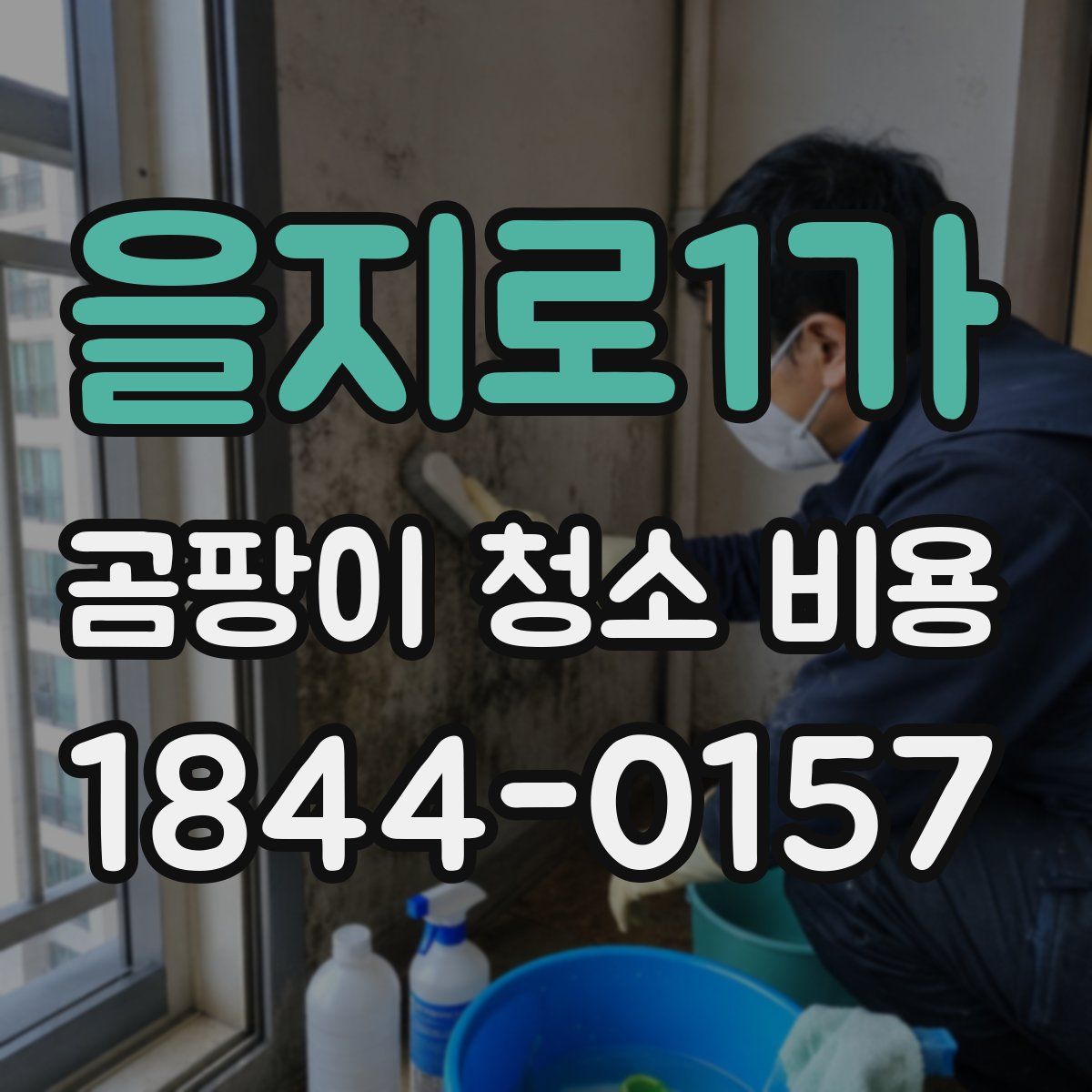 을지로1가 곰팡이 청소 비용