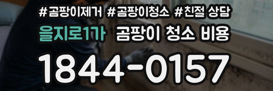 을지로1가 곰팡이 청소 비용