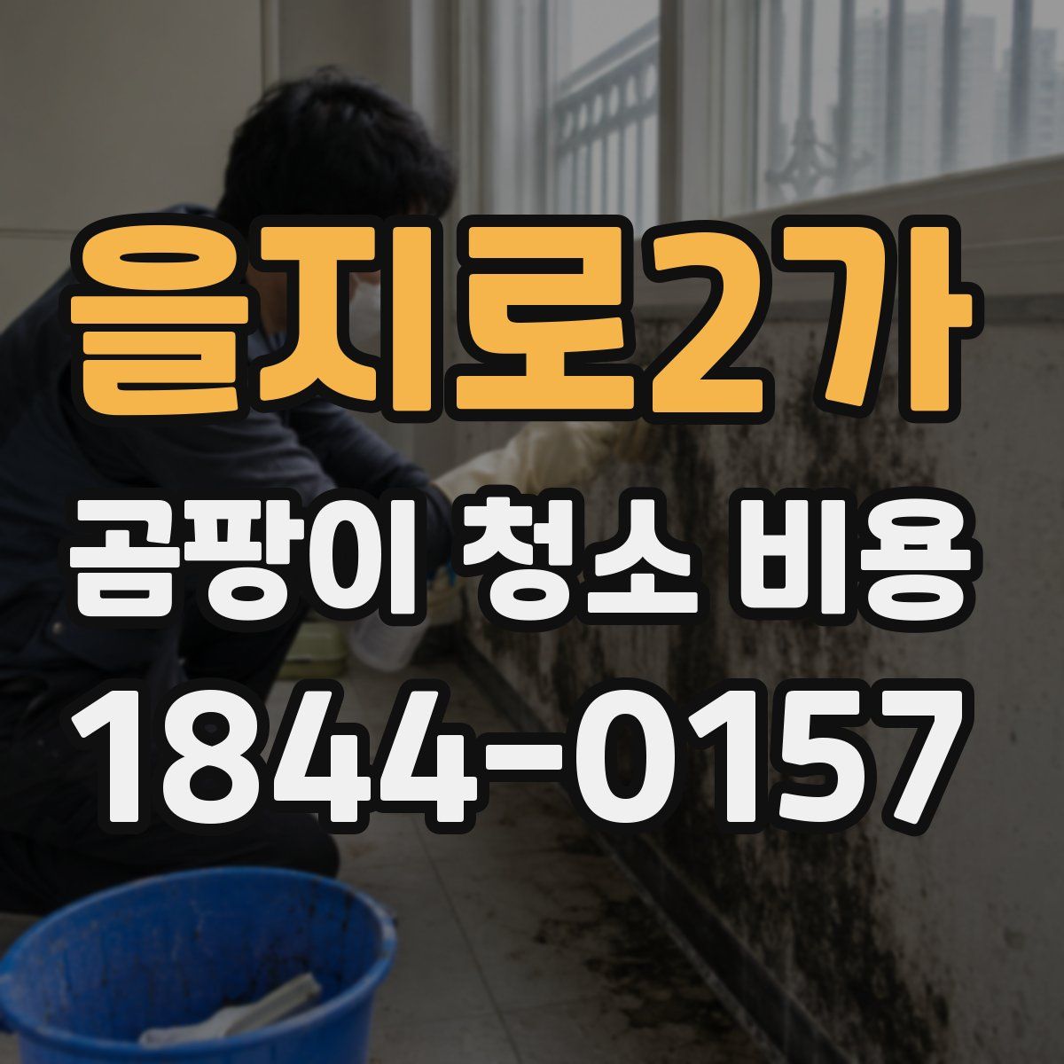 을지로2가 곰팡이 청소 비용