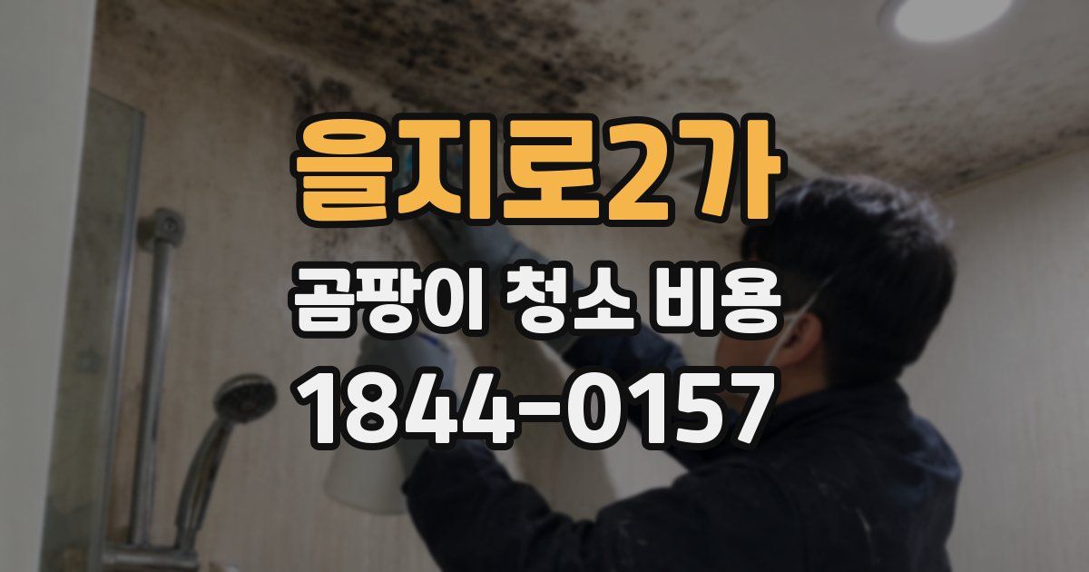 을지로2가 곰팡이 청소 비용
