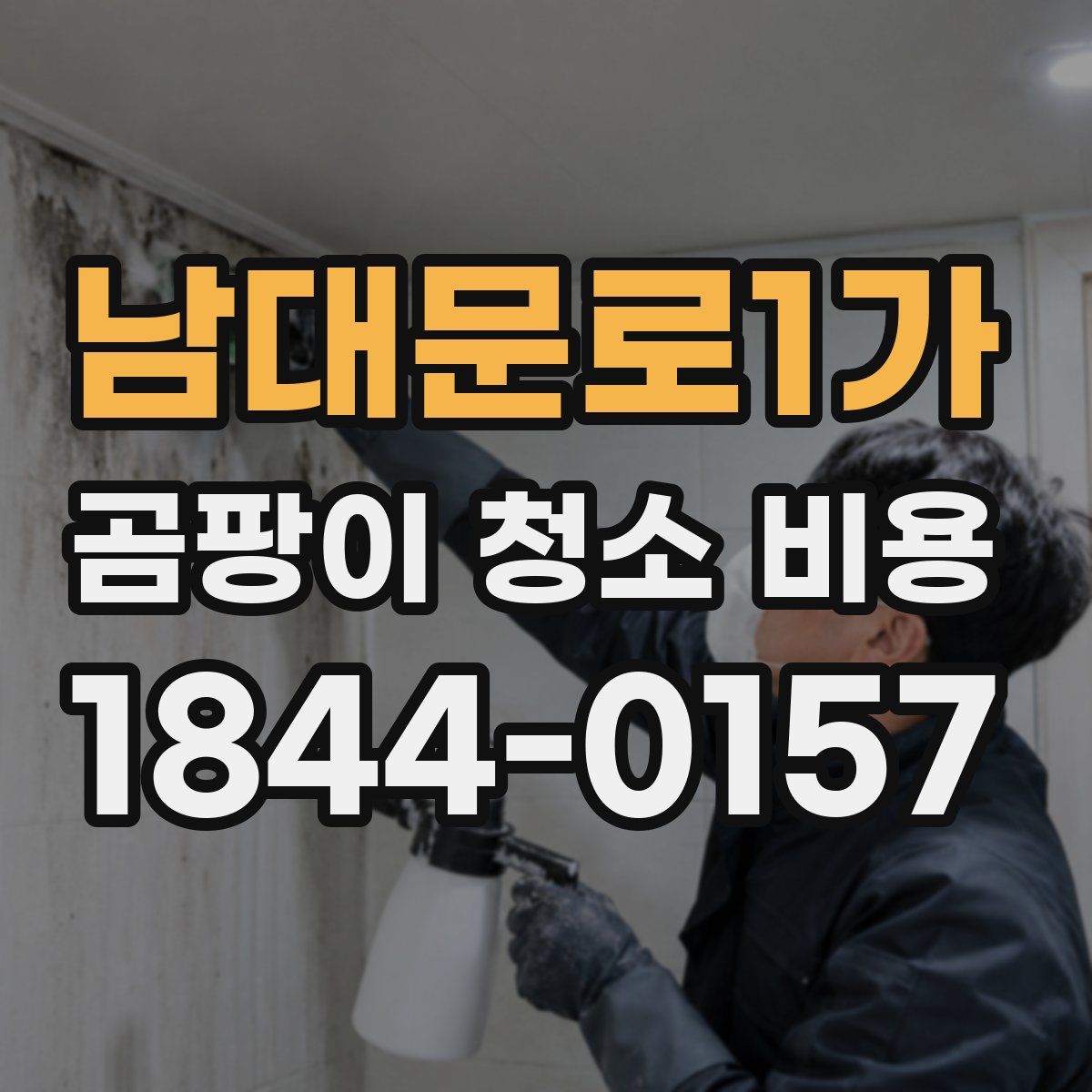 남대문로1가 곰팡이 청소 비용