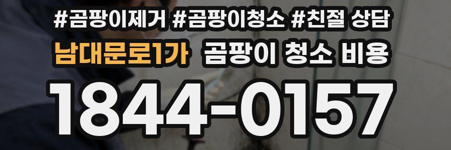 남대문로1가 곰팡이 청소 비용