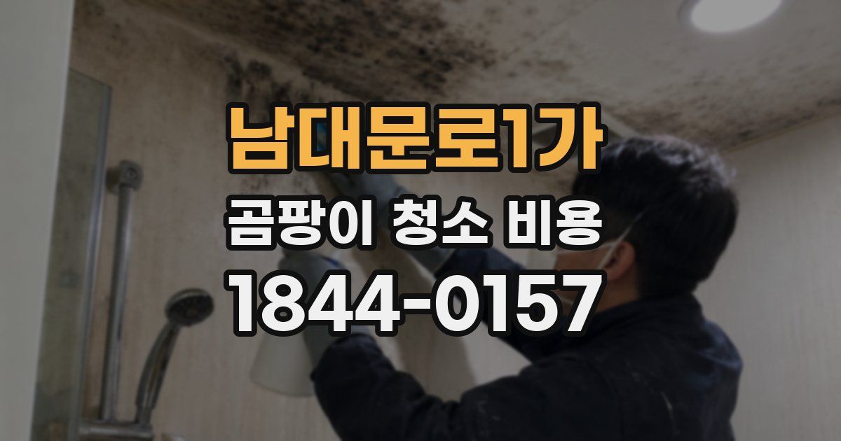 남대문로1가 곰팡이 청소 비용