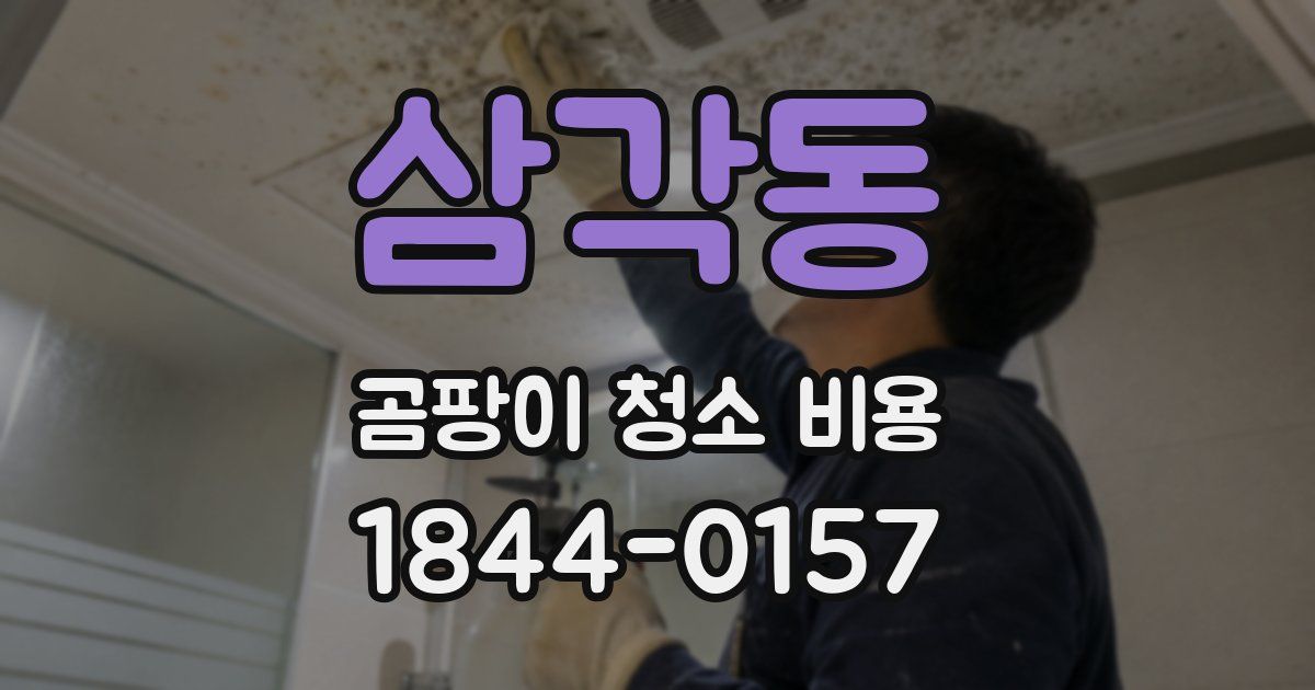 삼각동 곰팡이 청소 비용