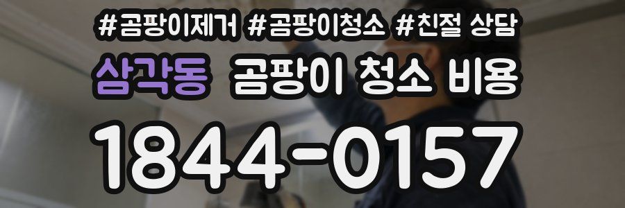 삼각동 곰팡이 청소 비용