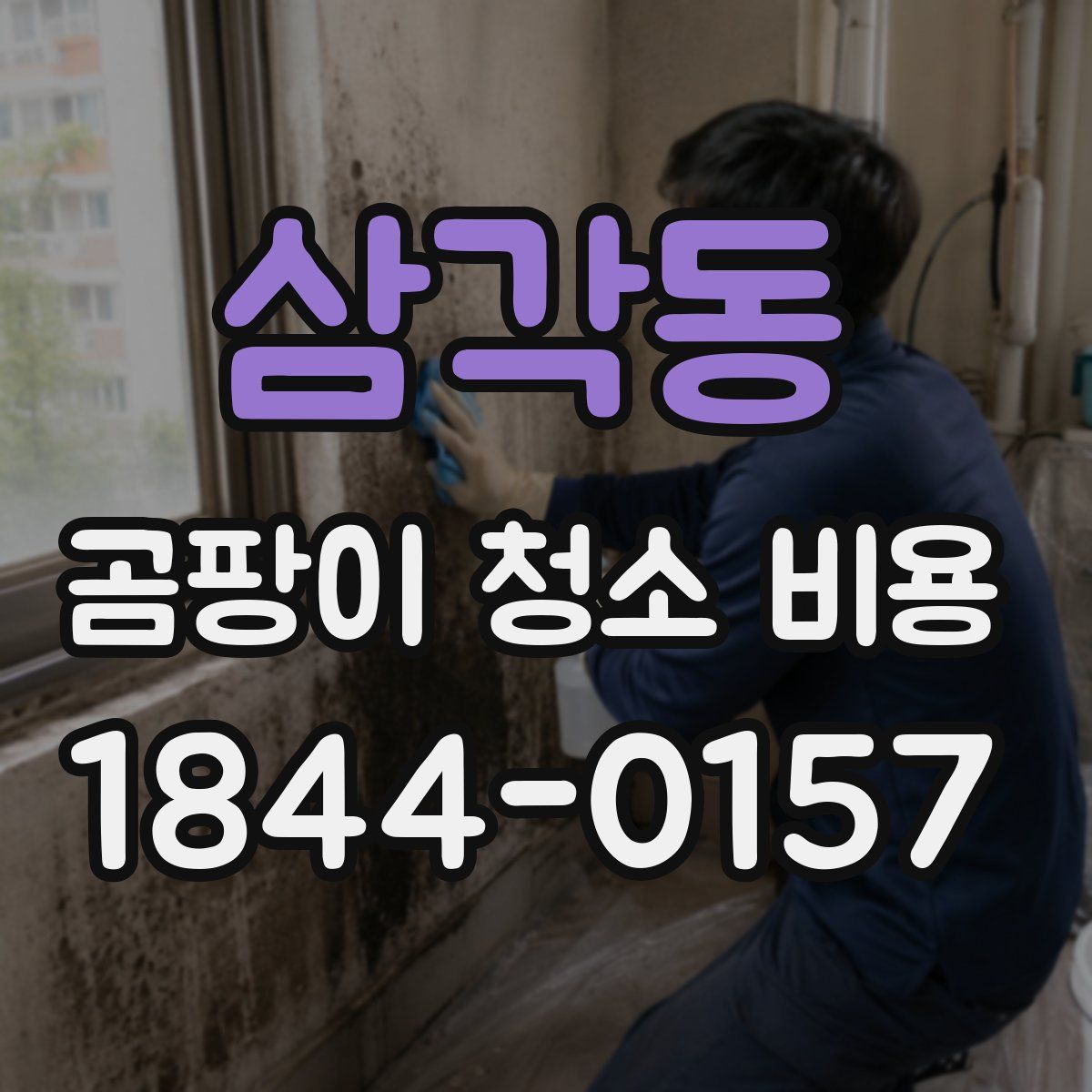 삼각동 곰팡이 청소 비용