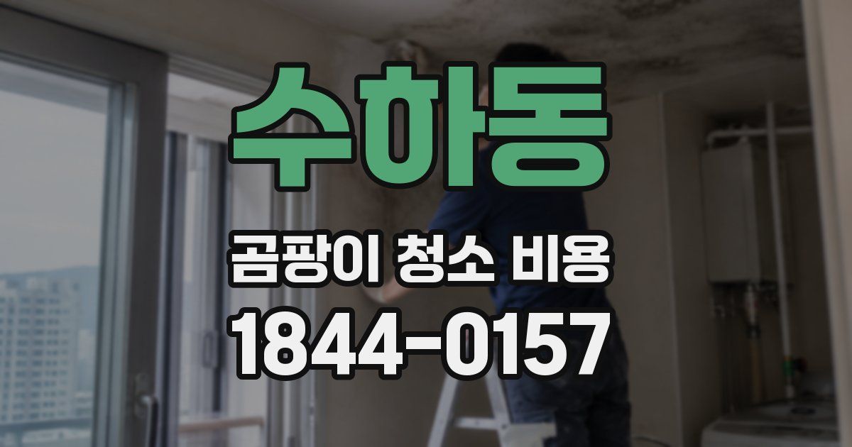 수하동 곰팡이 청소 비용