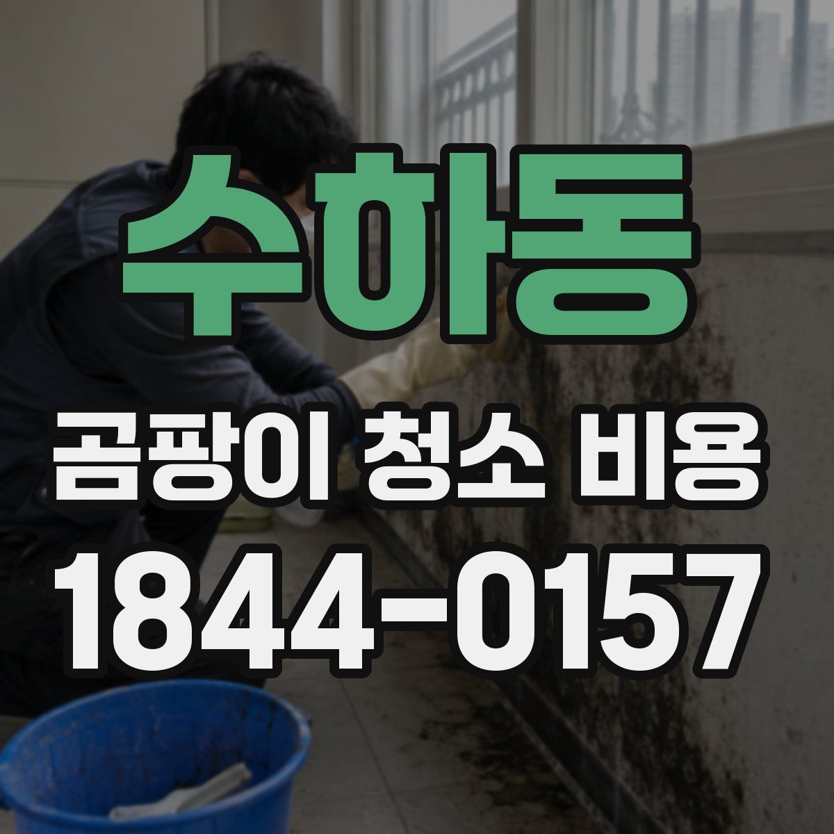 수하동 곰팡이 청소 비용