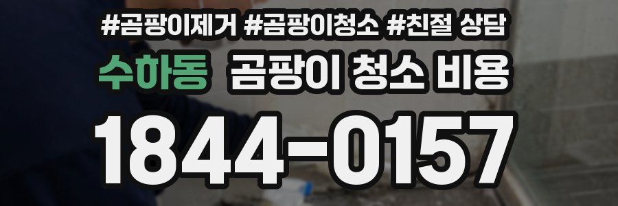 수하동 곰팡이 청소 비용