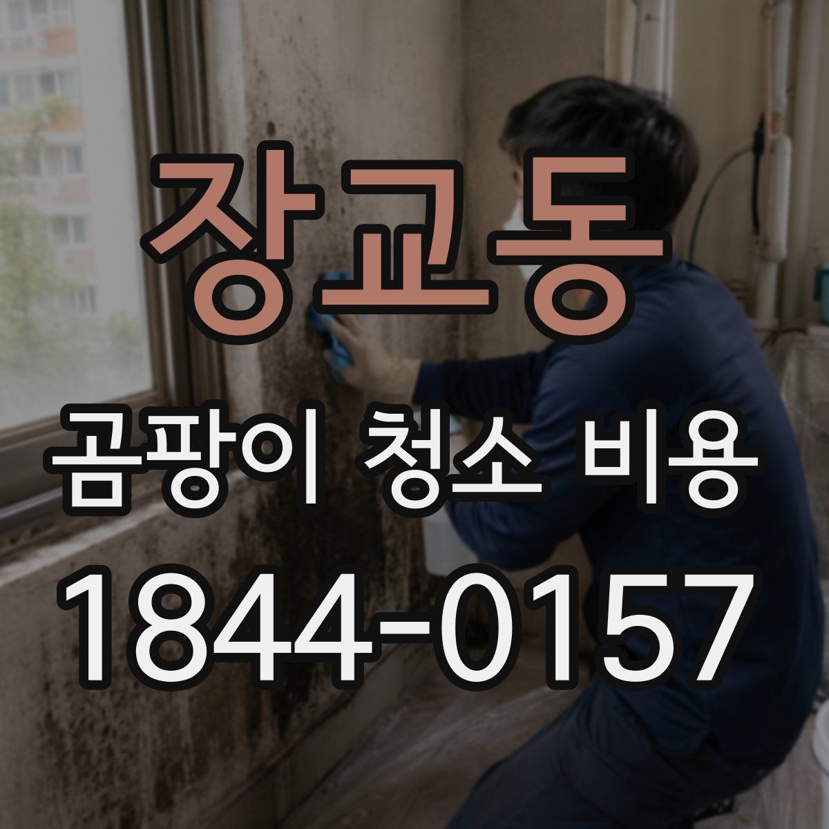 장교동 곰팡이 청소 비용