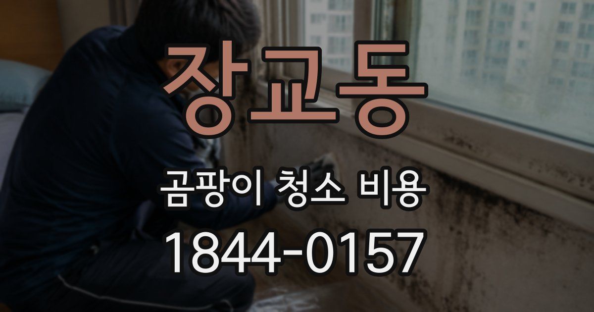 장교동 곰팡이 청소 비용