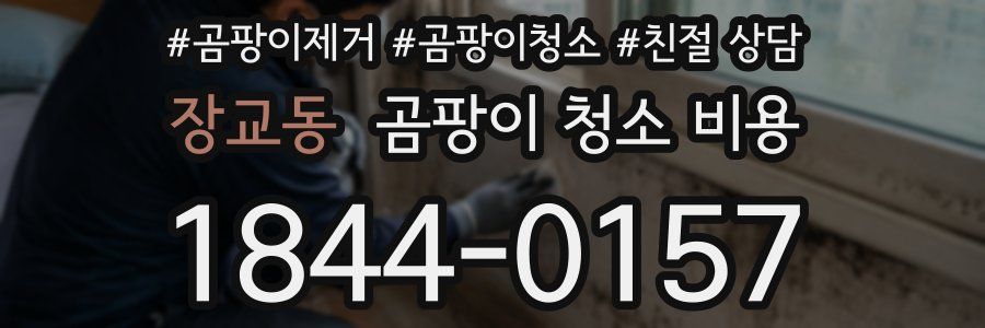 장교동 곰팡이 청소 비용