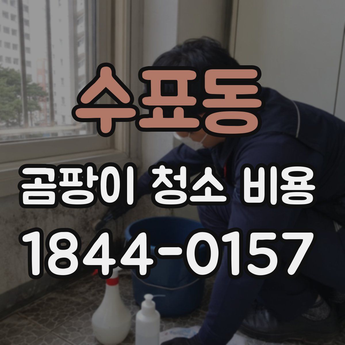 수표동 곰팡이 청소 비용