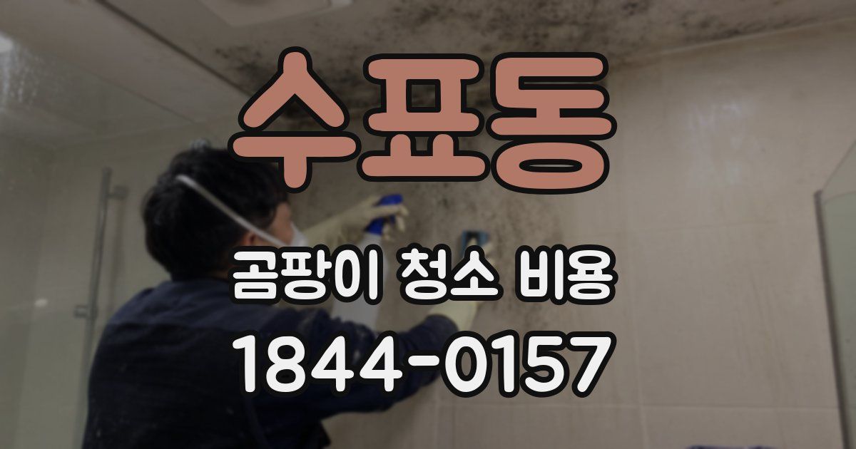 수표동 곰팡이 청소 비용