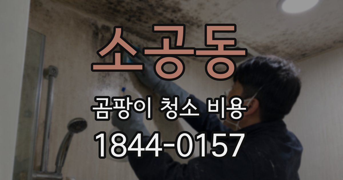 소공동 곰팡이 청소 비용