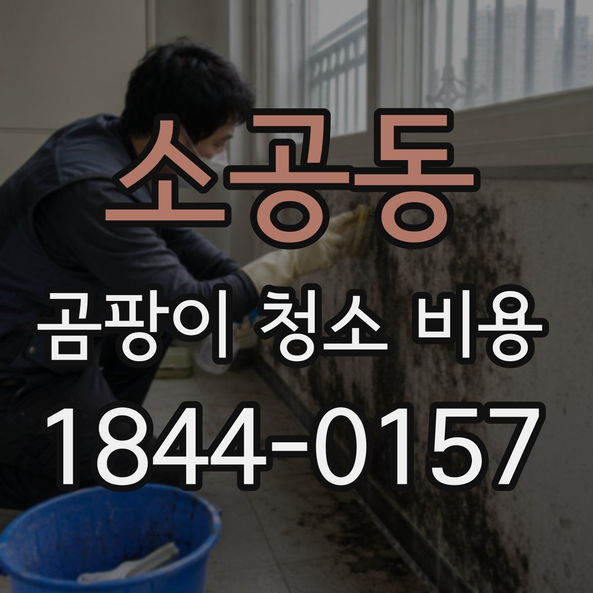 소공동 곰팡이 청소 비용
