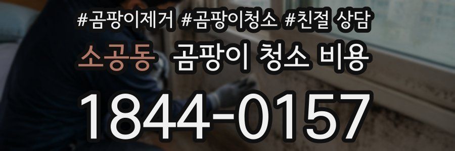 소공동 곰팡이 청소 비용