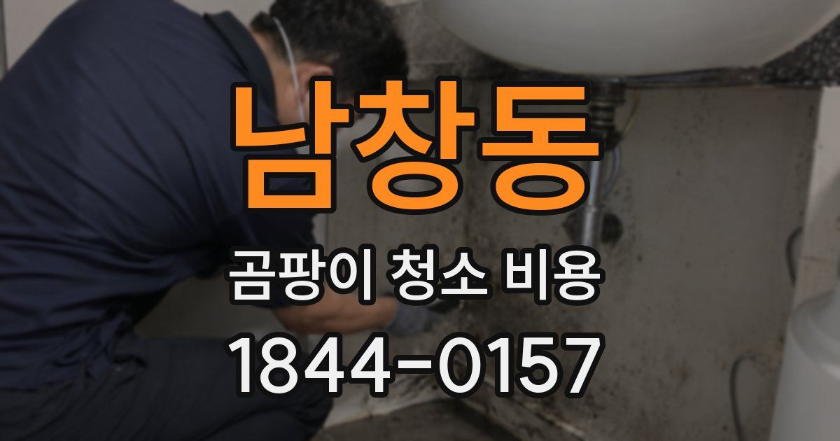 남창동 곰팡이 청소 비용