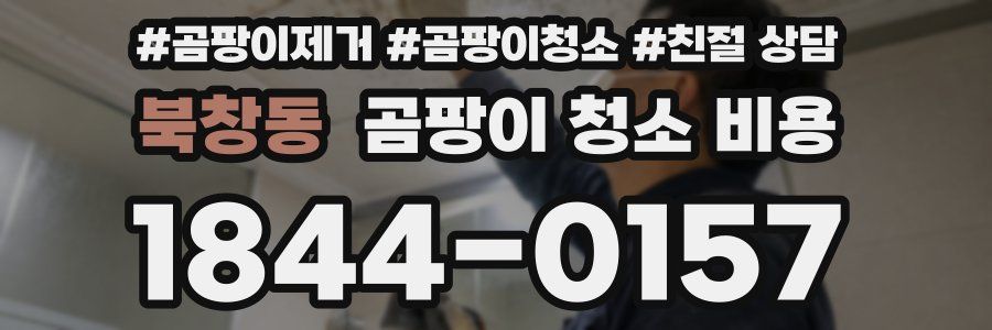 북창동 곰팡이 청소 비용