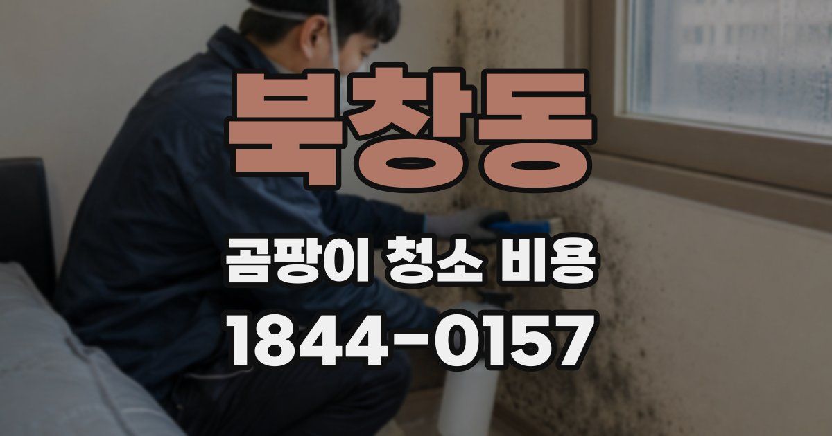 북창동 곰팡이 청소 비용